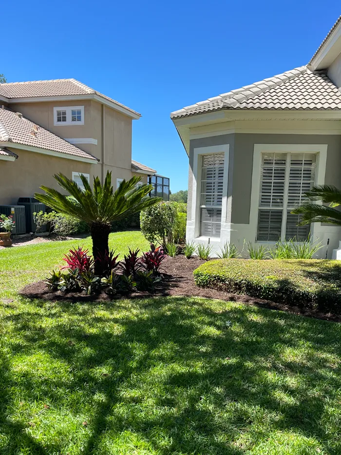 landscaping photo Landscaping improvement in Lake Mary, FL